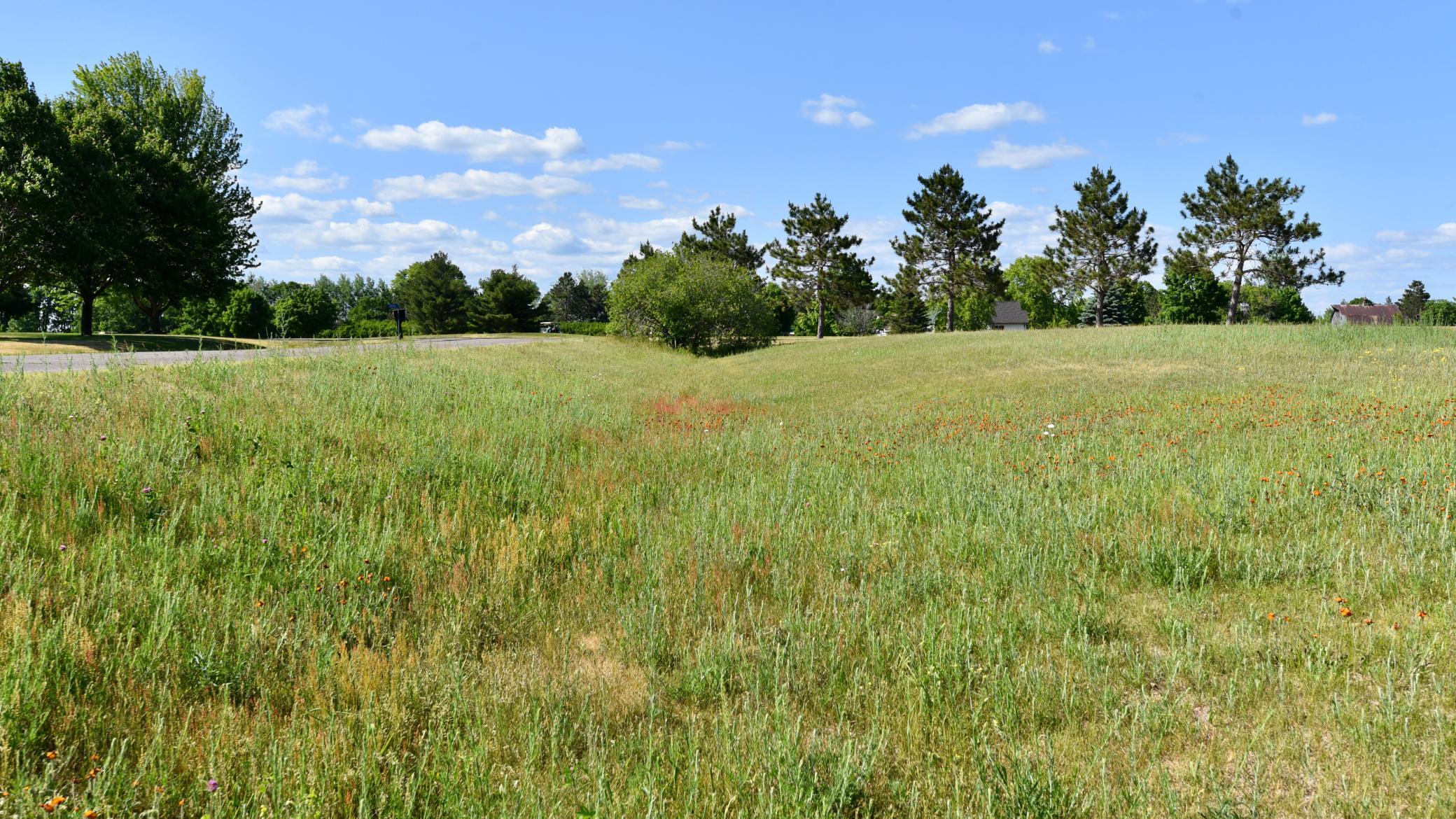 DSC_2353.JPG