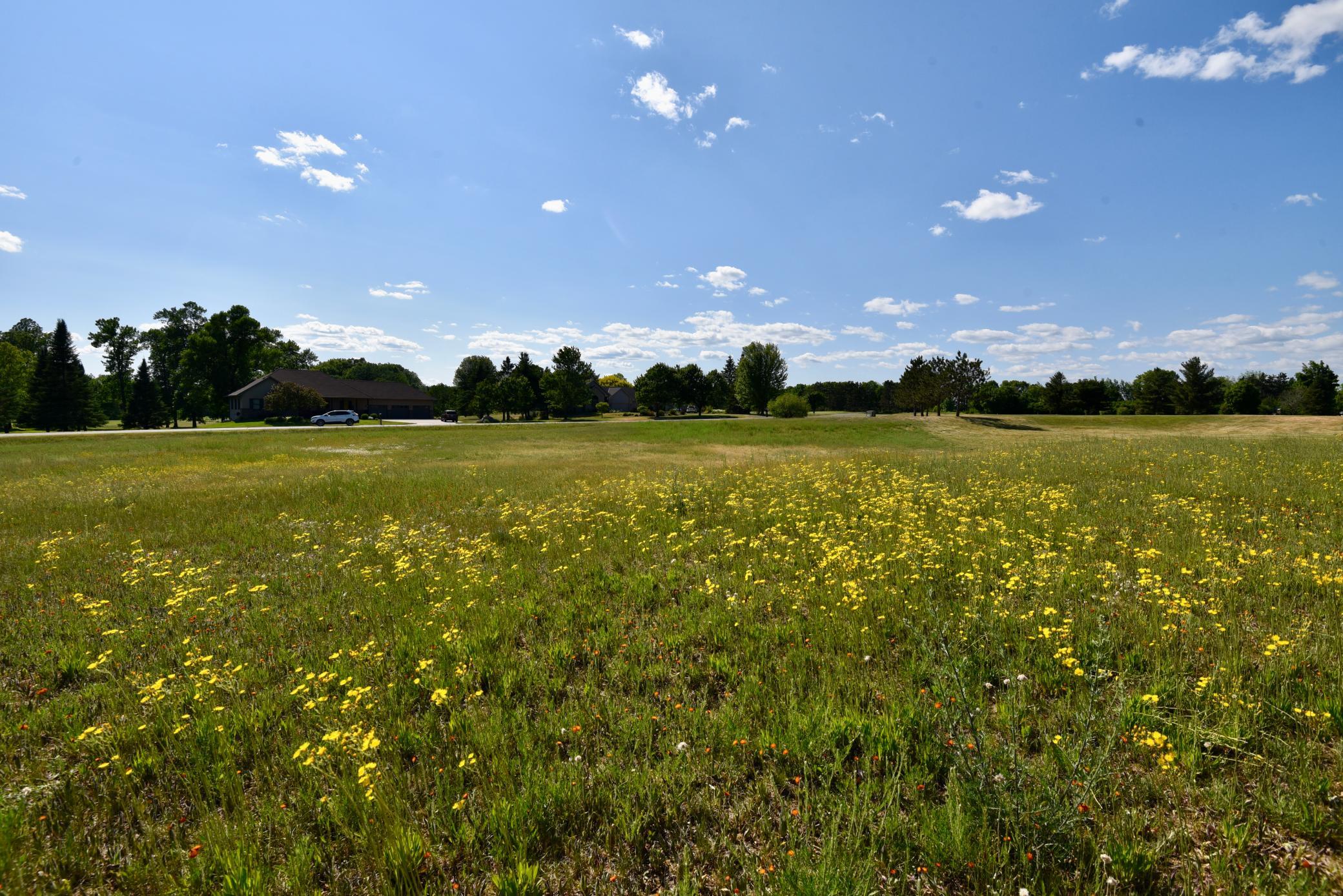 DSC_2343.JPG