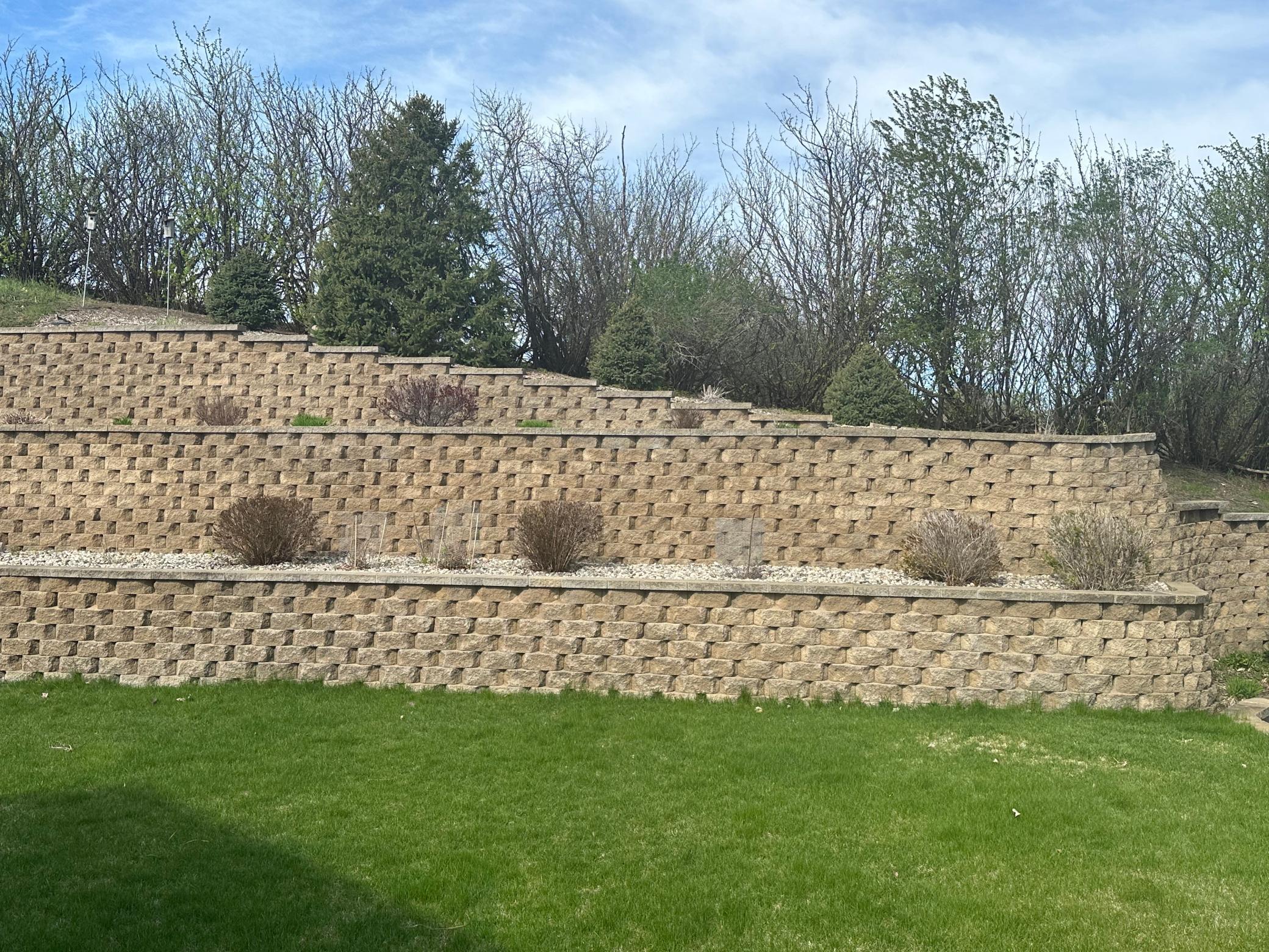 backyard landscaping.jpg