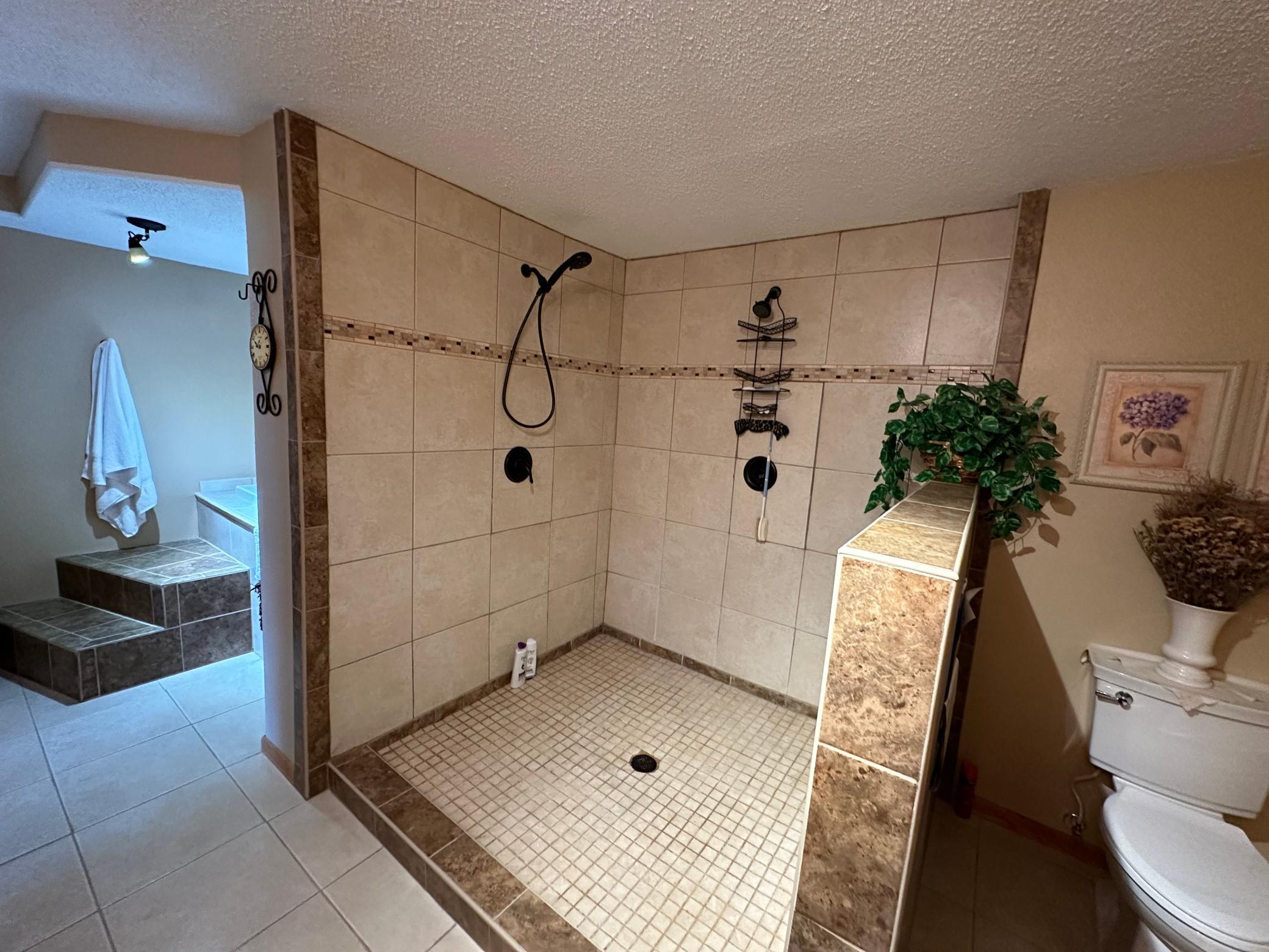 Lower level jacuzzi.jpg