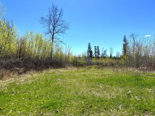 TBD 489th Lane, Palisade, MN 56469
