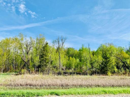 TBD County Road 8 NW, Baudette, MN 56623