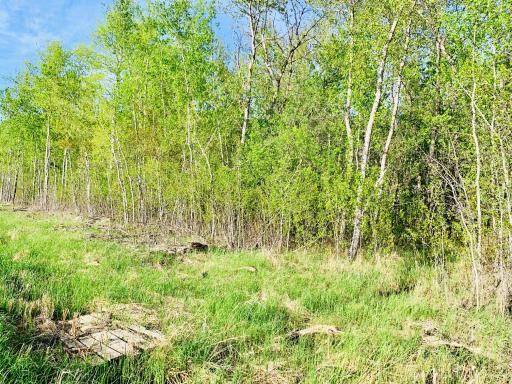 South end of 10 acres