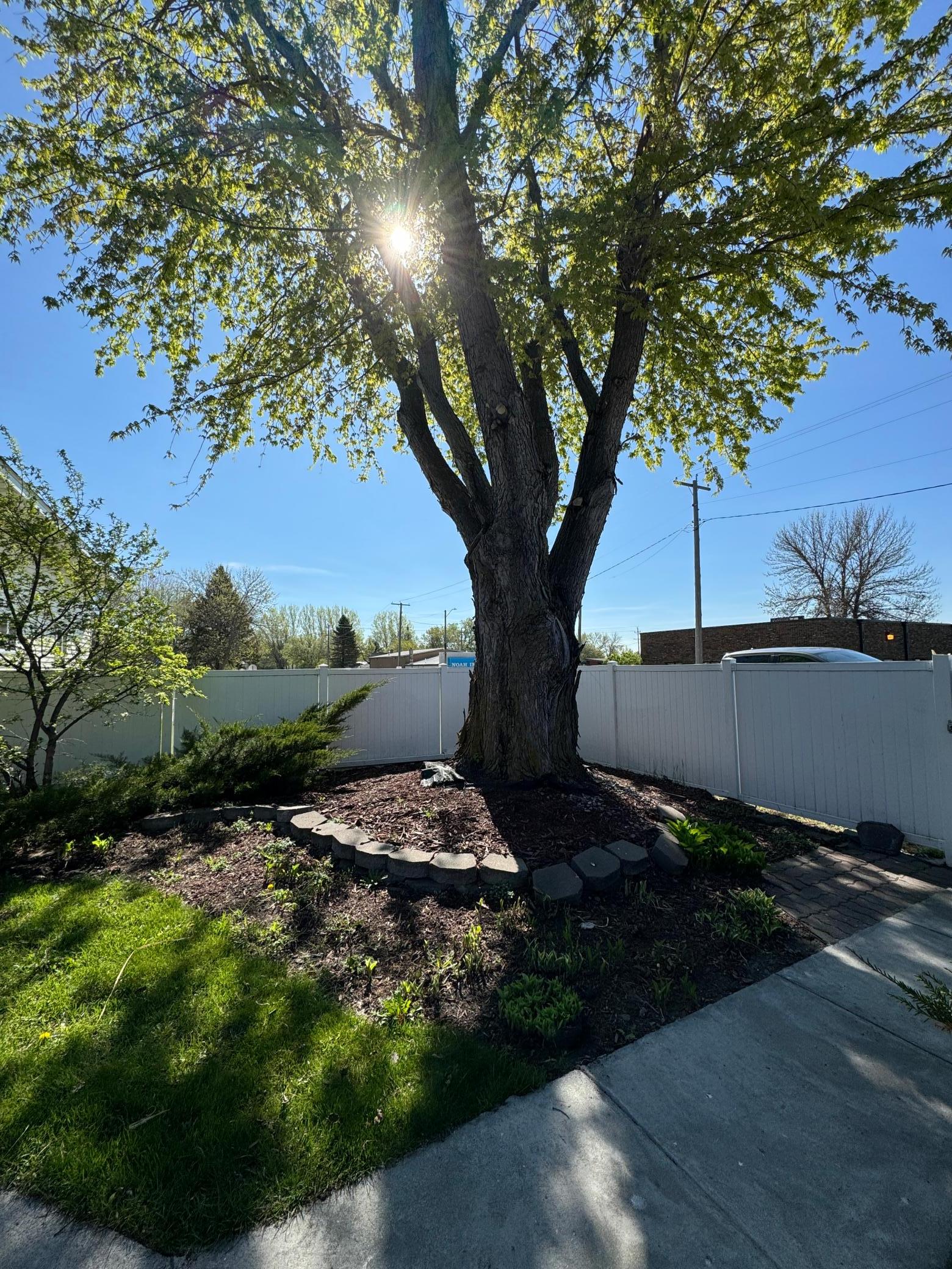 Front yard fencing.JPG