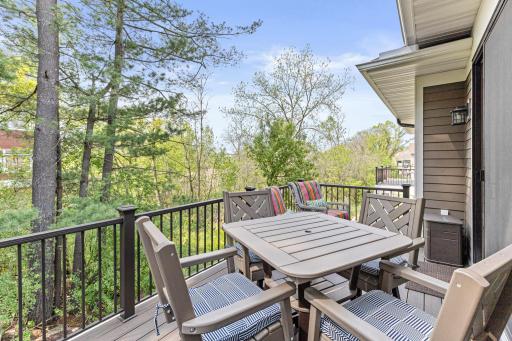 255 Bellwether Path, Wayzata, MN 55391
