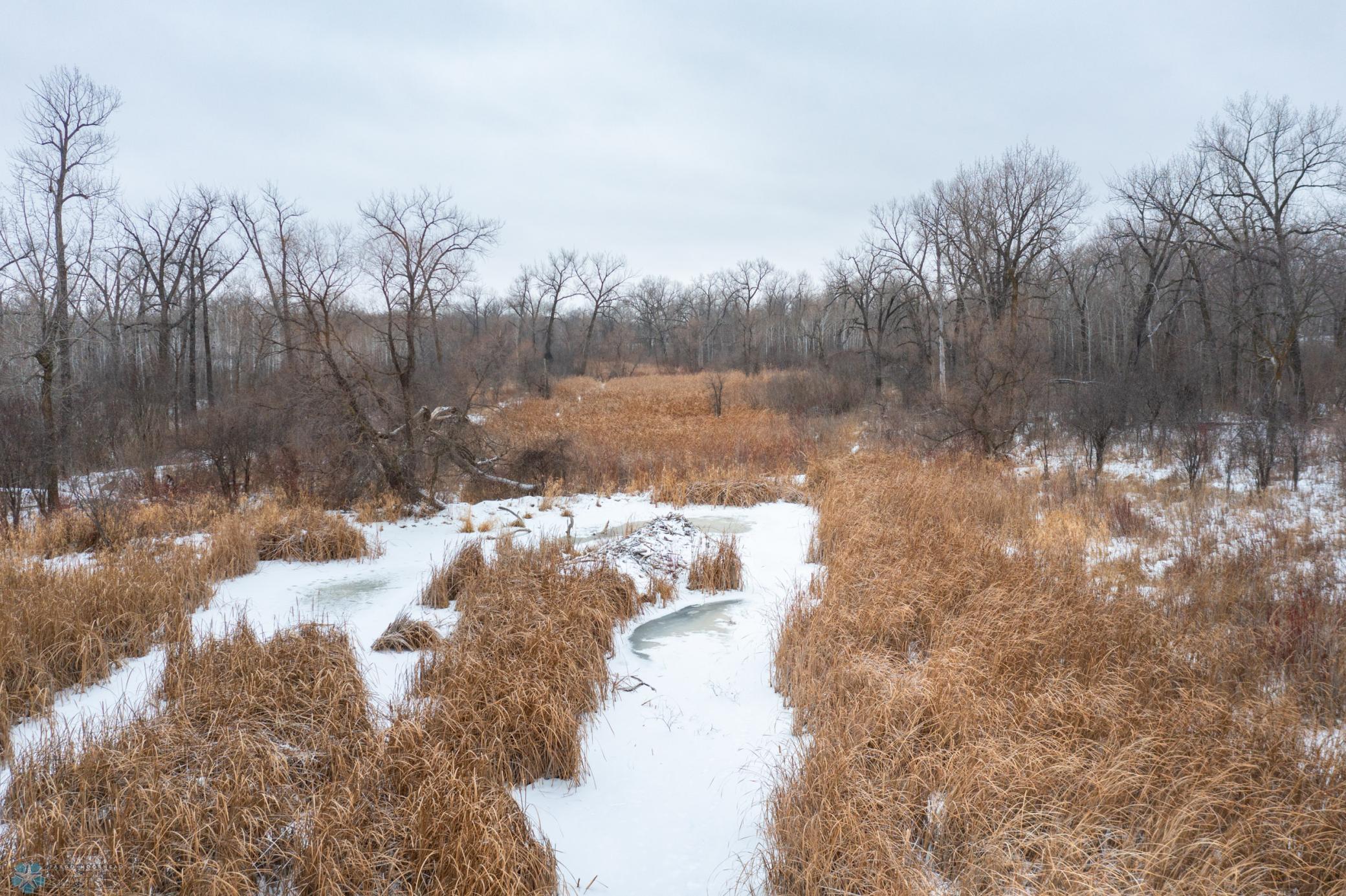 DJI_0558.jpg