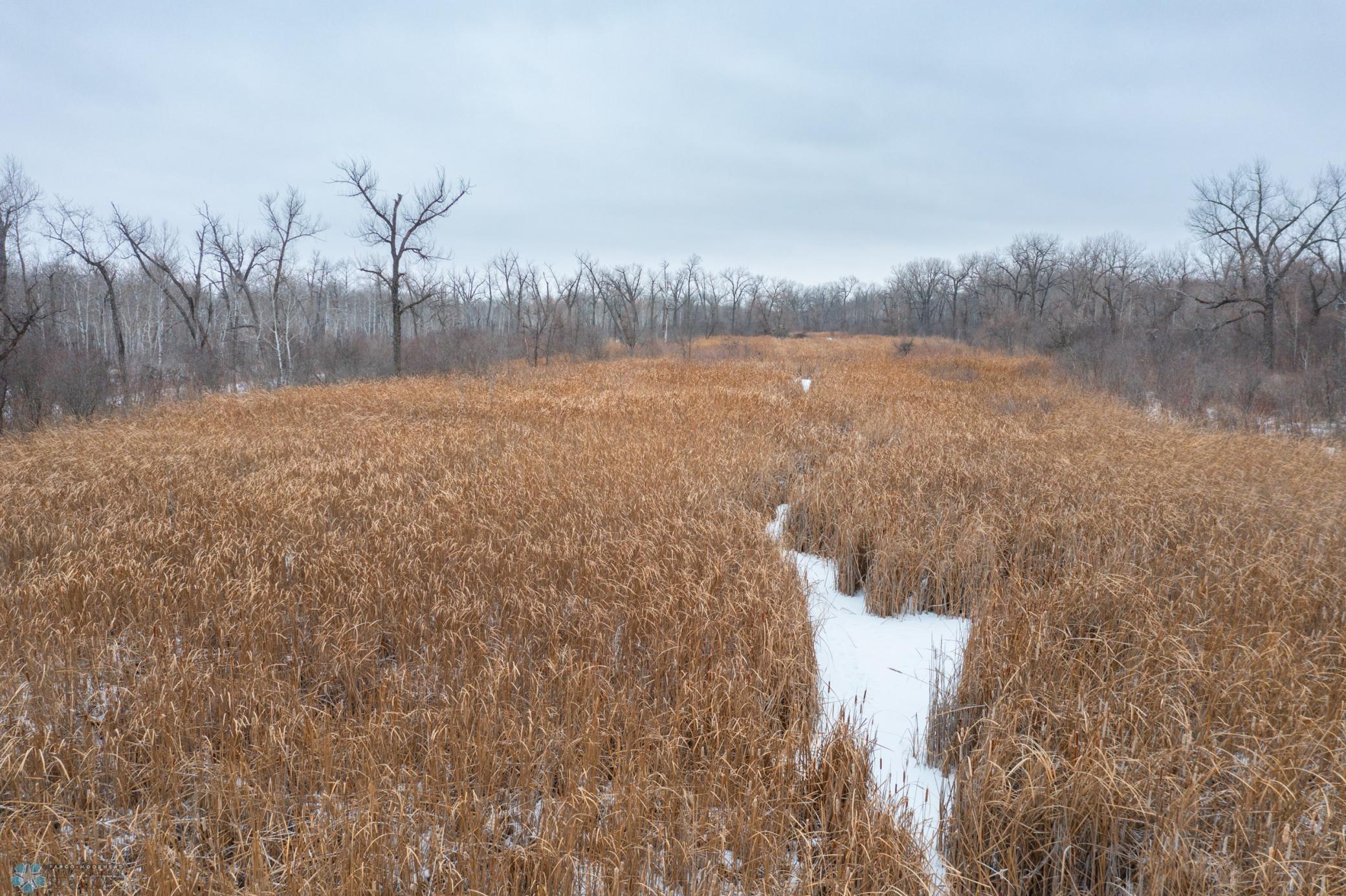 DJI_0556.jpg