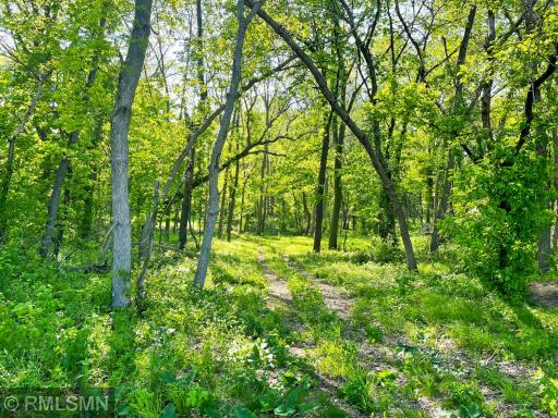 25001 Mn Highway 15, Dassel, MN 55325