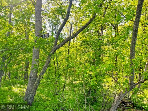 25001 Mn Highway 15, Dassel, MN 55325
