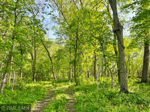 Trails have been carved out through the woods, deer hunting will be fantastic this season.