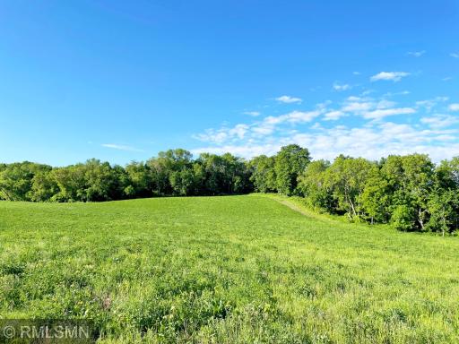 25001 Mn Highway 15, Dassel, MN 55325