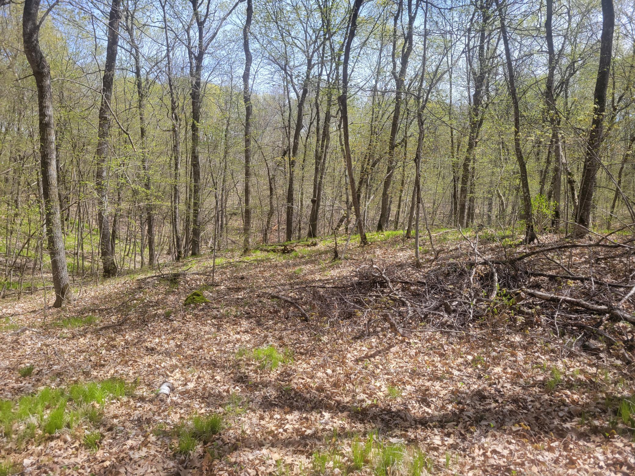 20240508_142626.jpg