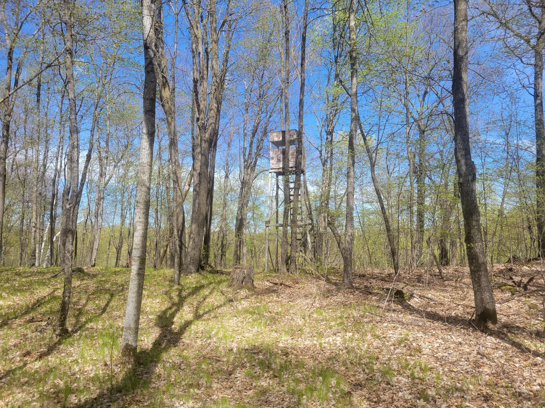 20240508_142856.jpg