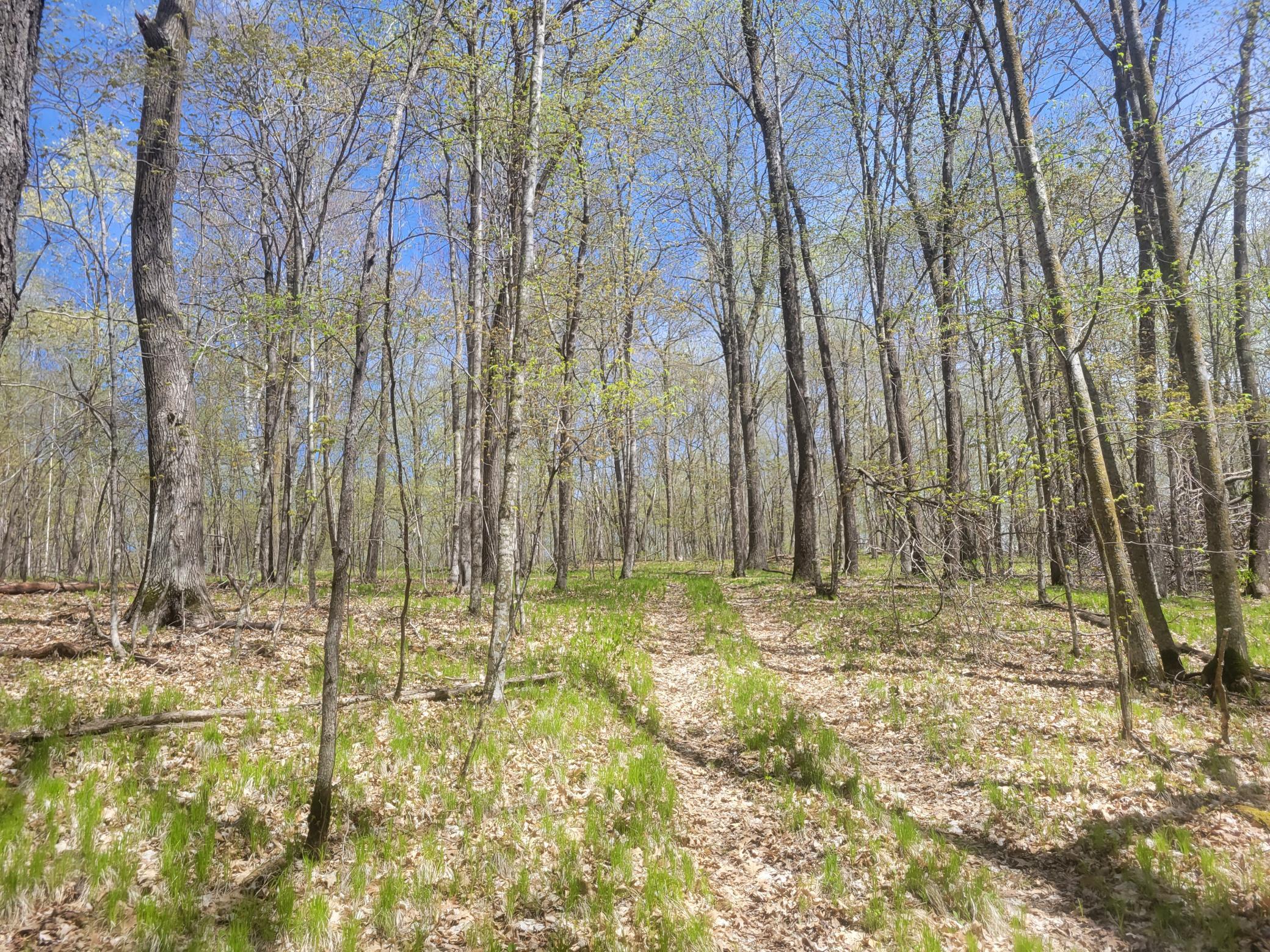 20240508_142738.jpg
