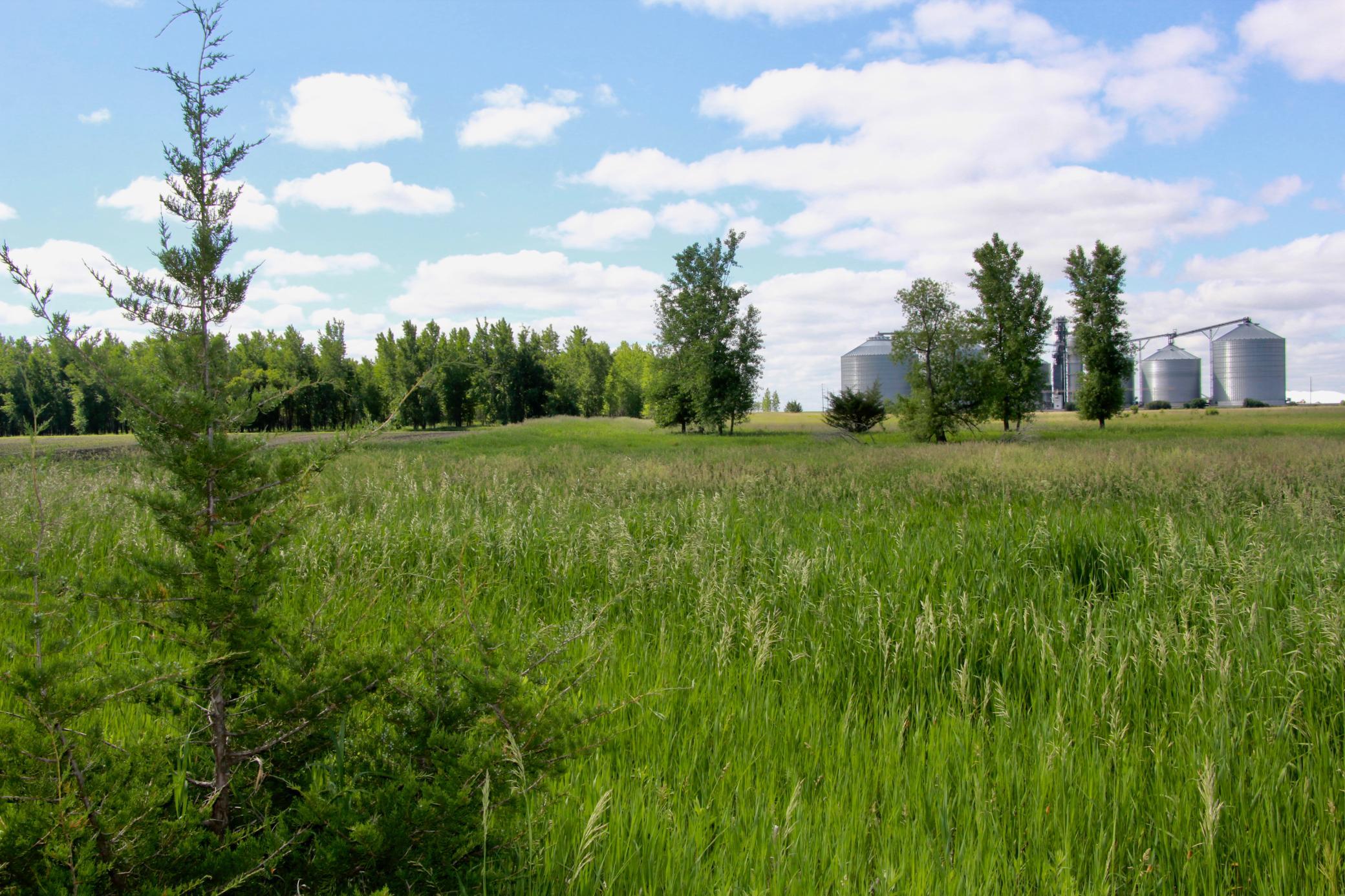 Pic 20.JPG