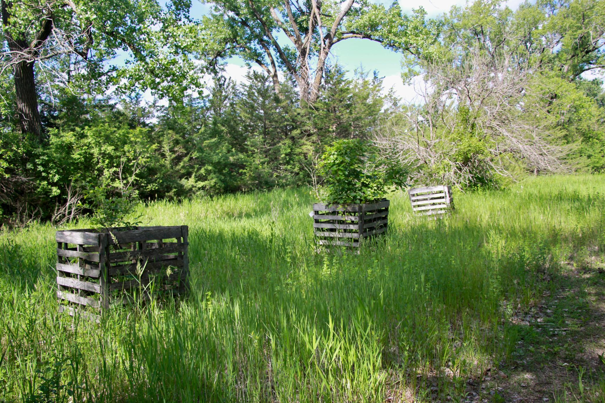 Pic 12.JPG