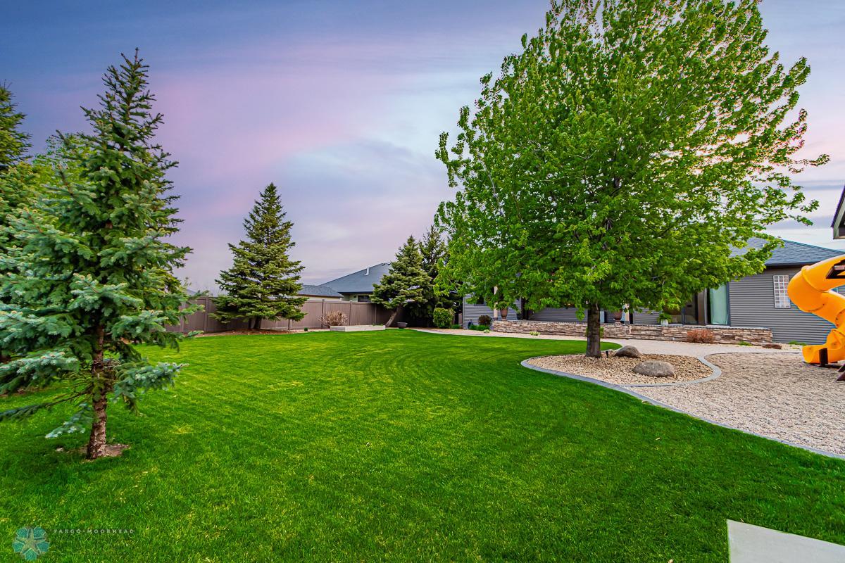 Backyard_3.jpg