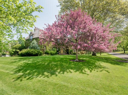 1335 Beechwood Place, Saint Paul, MN 55116