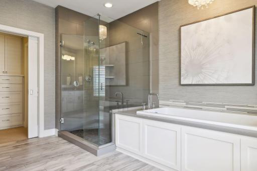 Large soaker tub and separate walk-in shower