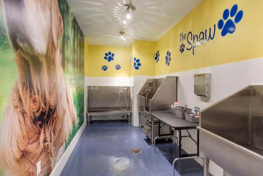 Regatta is a pet-friendly building and offers a "dog spa" for residents to use