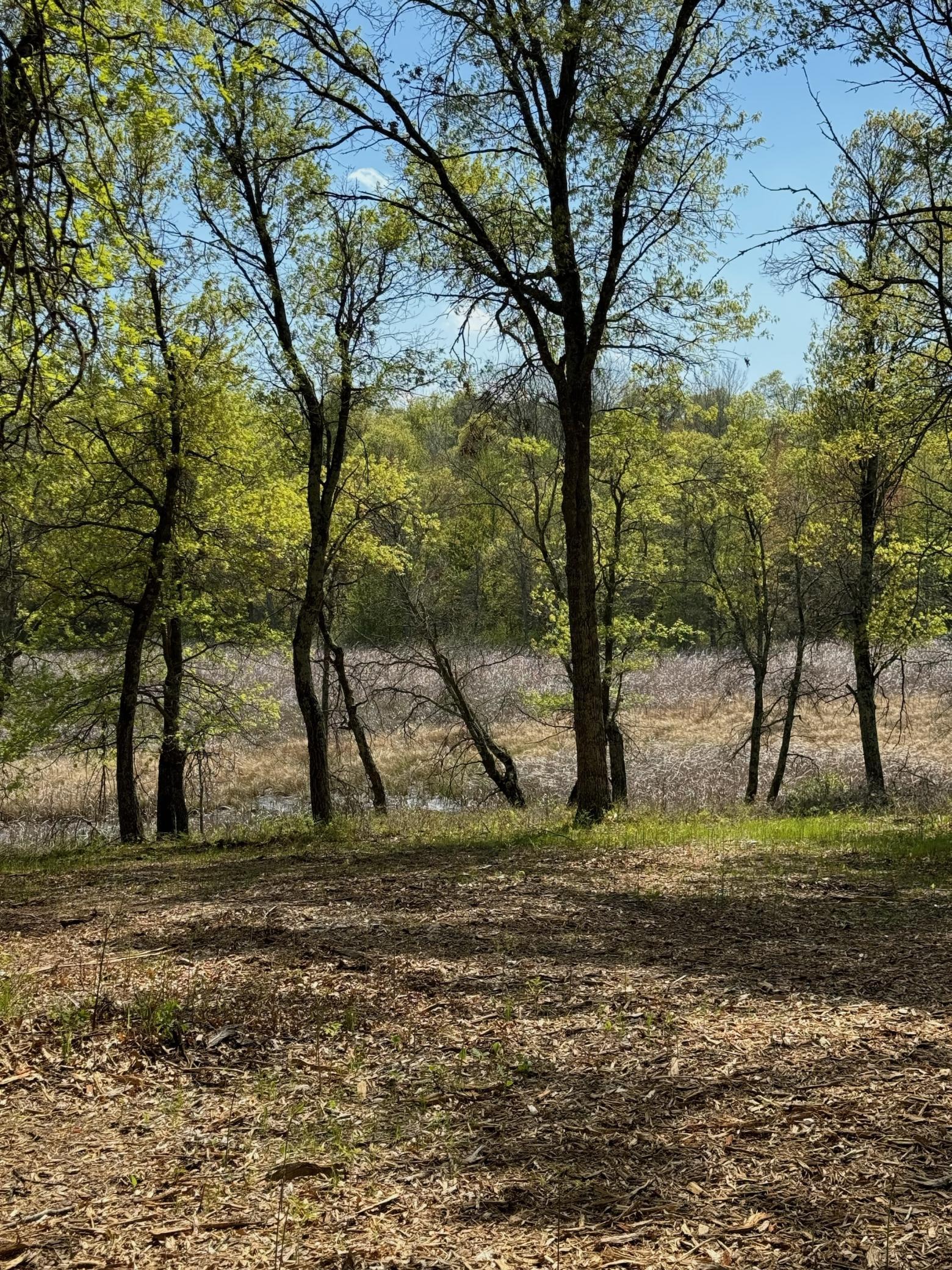 Lot 12 Stillwater Bend 2.jpeg