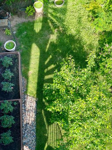 Community backyard green space for gardening and flowers.
