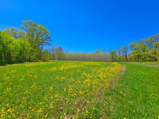 2263 Pipe Lake Road, Comstock, WI 54826