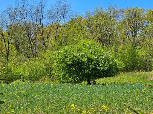 2263 Pipe Lake Road, Comstock, WI 54826
