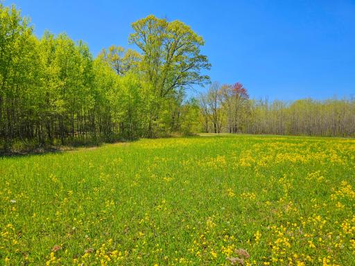2263 Pipe Lake Road, Comstock, WI 54826