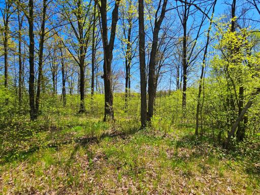 2263 Pipe Lake Road, Comstock, WI 54826