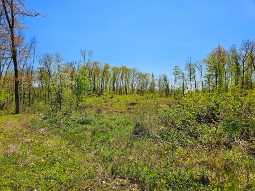 2263 Pipe Lake Road, Comstock, WI 54826