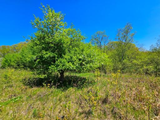 2263 Pipe Lake Road, Comstock, WI 54826