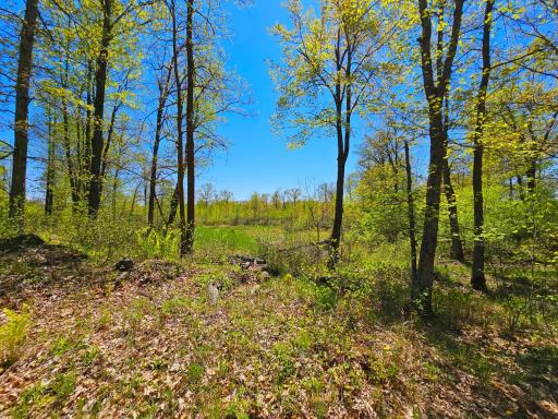 2263 Pipe Lake Road, Comstock, WI 54826