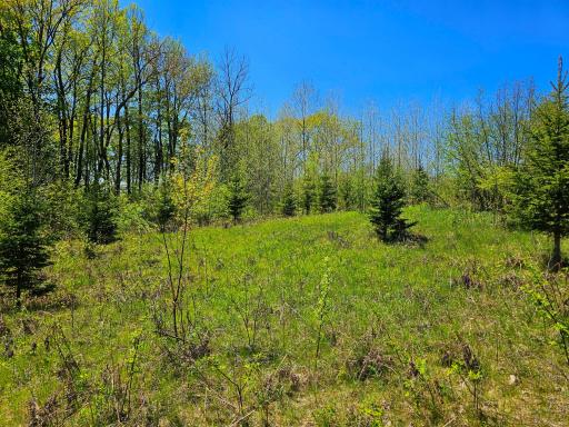 2263 Pipe Lake Road, Comstock, WI 54826