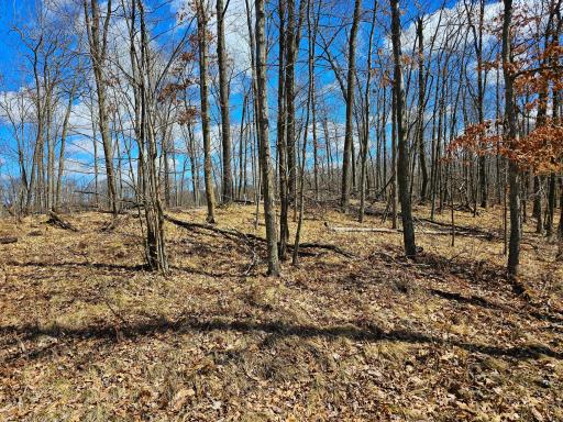 2263 Pipe Lake Road, Comstock, WI 54826