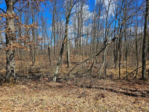 2263 Pipe Lake Road, Comstock, WI 54826
