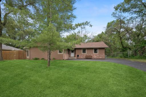 Beautiful wooded lot with landscaping and home elevated above the street level