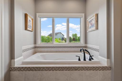 12755 Island View Circle, Rogers, MN 55374