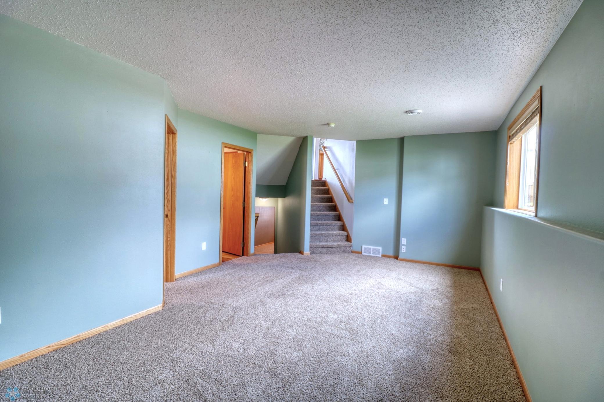 Lower Level family room 1_2.jpg