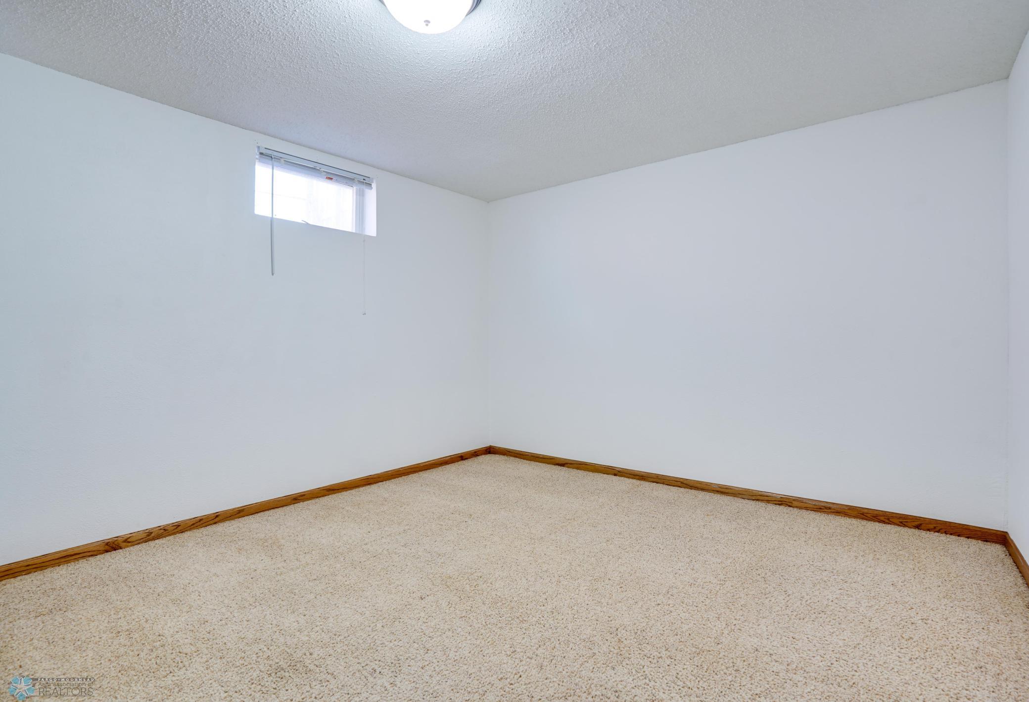Flex Room in Basement