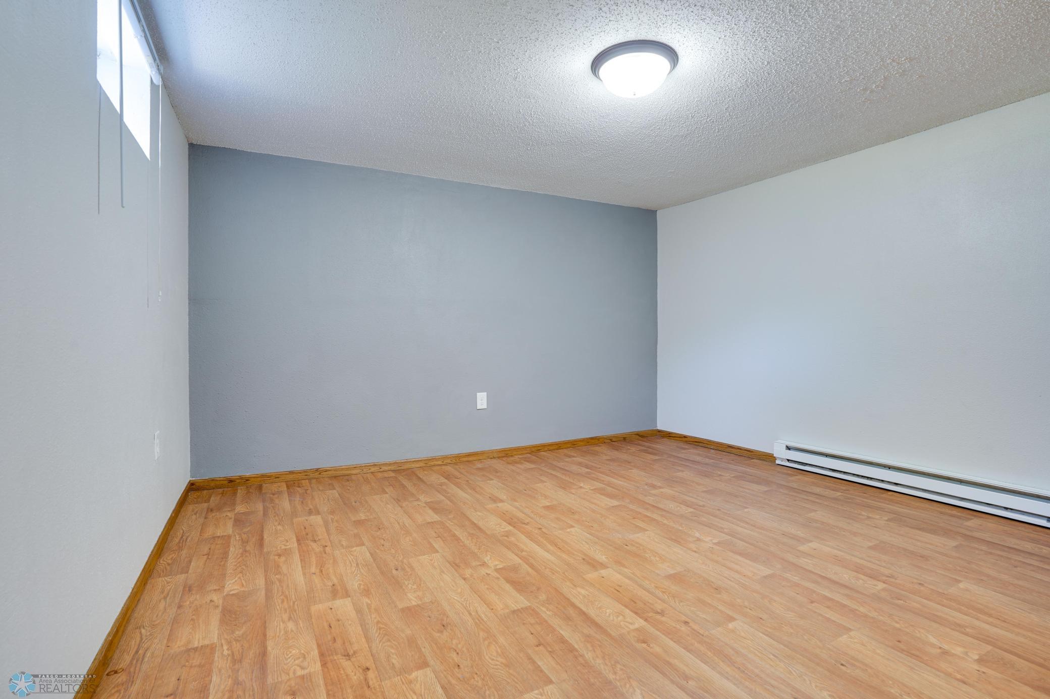 Flex Room 2 in Basement
