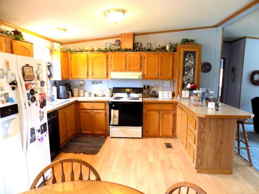 562 65th Avenue SW, Williams, MN 56686