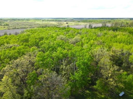 Photo for 14372 340th Street NE, Middle River, MN 56737 - Listing #6540432 14372 340th Street NE, Middle River, MN 56737