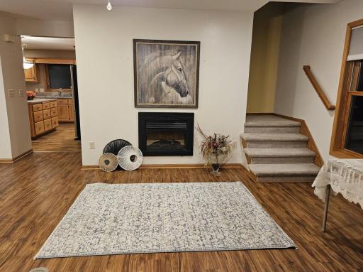 Photo for 14372 340th Street NE, Middle River, MN 56737 - Listing #6540432 14372 340th Street NE, Middle River, MN 56737
