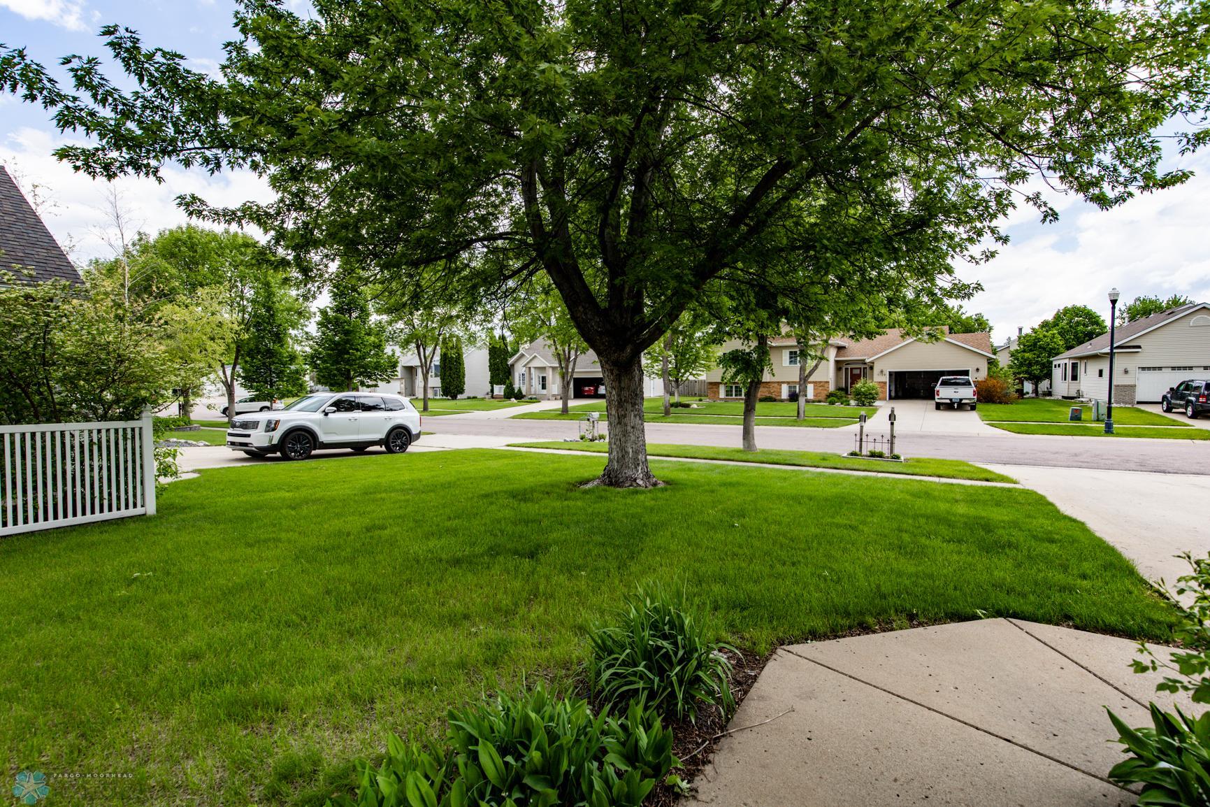 Front Yard