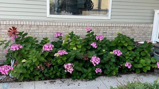 Bushes