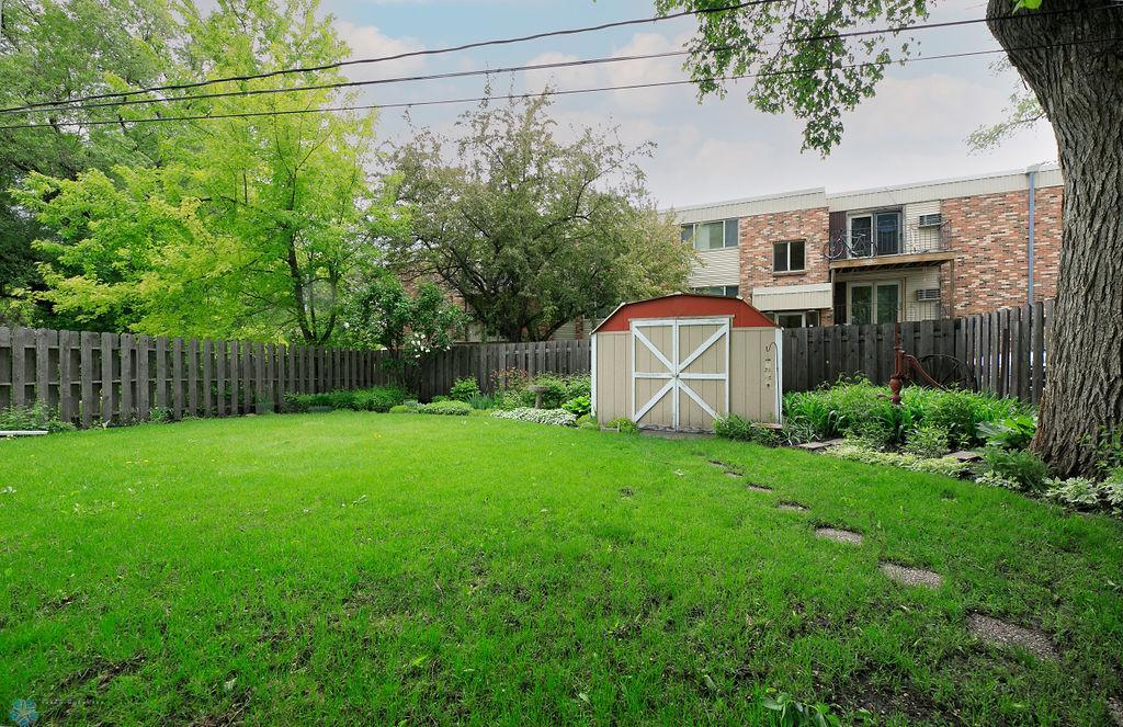 Back yard