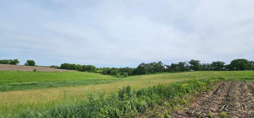 34108 310th Street, Lanesboro, MN 55949