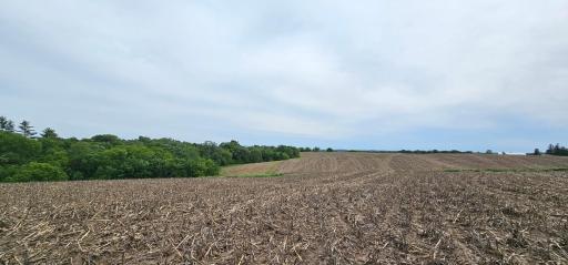 34108 310th Street, Lanesboro, MN 55949