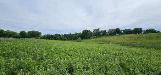 34108 310th Street, Lanesboro, MN 55949